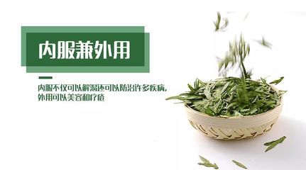 茶葉 食藥同源的百變精靈